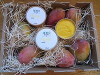 Mango Sorbet - Kiste